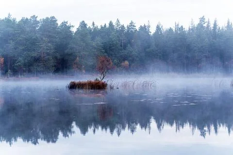 Fall morning Stock-Fotos
