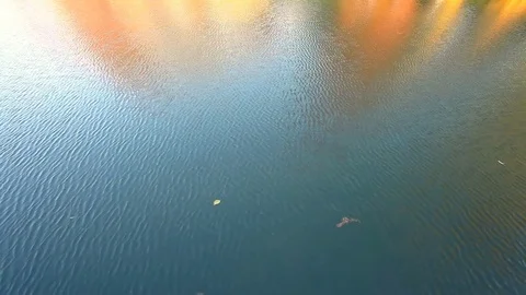 Fall Motion Background of Sunset Backlit Water Ripples Stock Footage 82301821