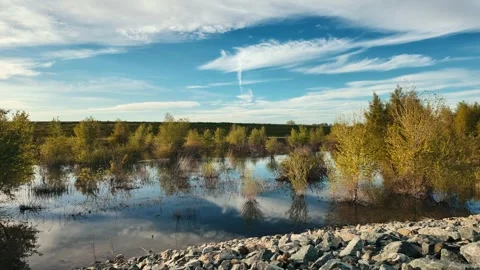Fall motion time lapse with  flooded woodland Stock Footage 289781694