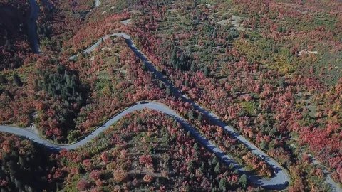 Fall with mountain Stock Footage 91553479