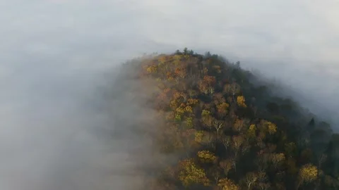 Fall mountain top from above Stock Footage 238845850