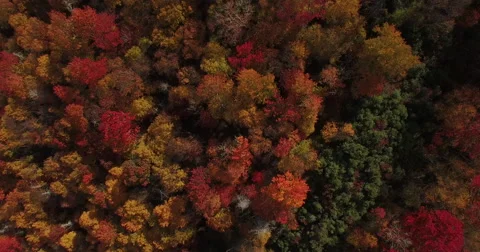 Fall Mountains - Aerial Stock Footage 60644608