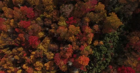 Fall Mountains - Aerial Stock Footage 60644653