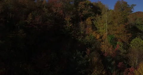 Fall Mountains - Aerial Stock Footage 60644828