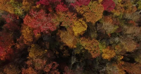 Fall Mountains - Aerial Stock Footage 60982185