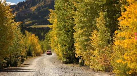Fall Mountains Colorado Trees Stock Footage 33648771