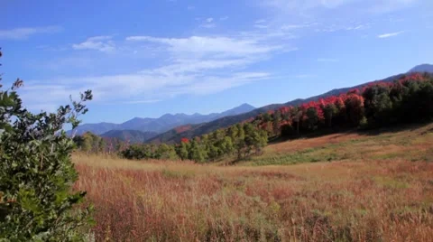 Fall in the mountains dolly shot Video stock 8690017