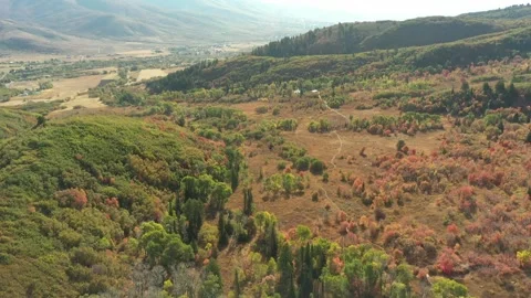 Fall in the mountains 動画素材 296795363