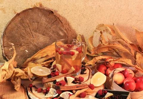 Fall mulled hot tea with fruit apple cranberry raspberry lemon Stock Photos
