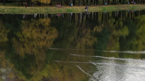 Fall multi-colored leaves 스톡 동영상 217679982