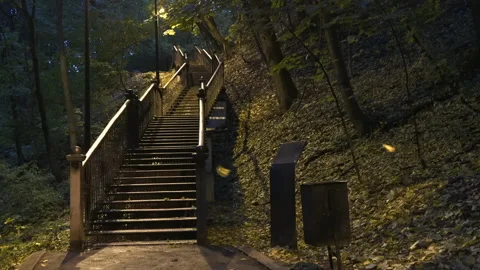 Fall multi-colored leaves 스톡 동영상 217681121