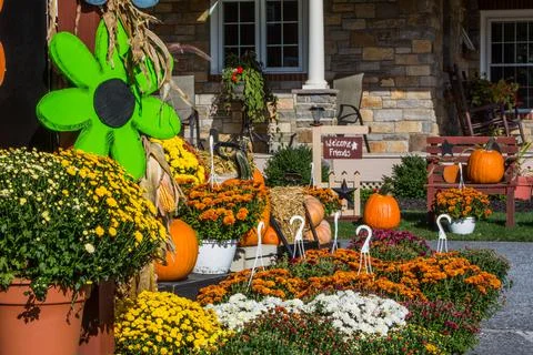 Fall Mums on Display at Roadside Stand Foto stock