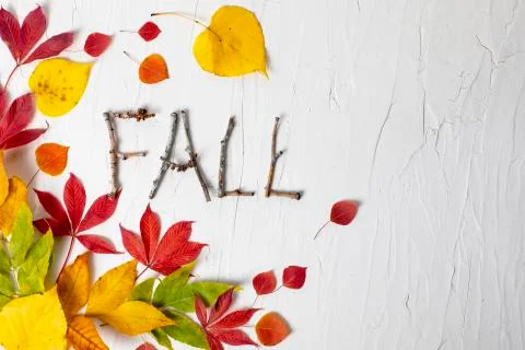 Fall nature composition with leaves Stock Photos