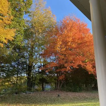 Fall in New England Foto stock