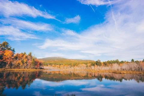 Fall in NH 库存照片