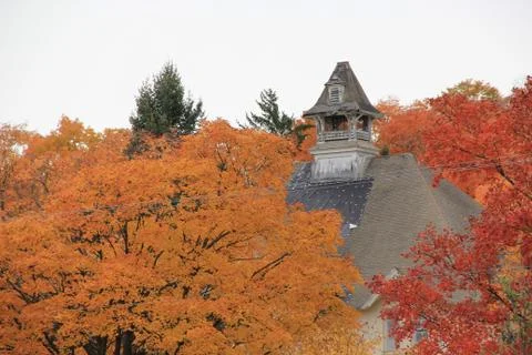 Fall in Northern Michigan Stockfoto's