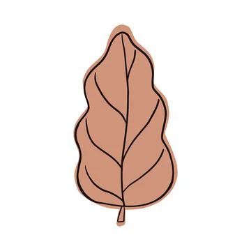 Fall oak leaf isolated on white background. Decorative design in doodle style Illustrazione stock