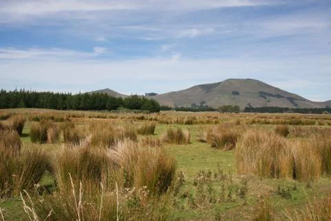 Fall in Okia Flat, Otago Peninsula, Dunedin, New Zealand Stock Photos