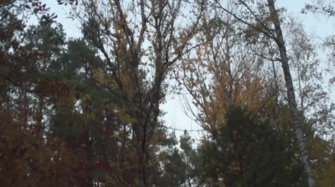 Fall,  old cemetery Stock Footage 43487875