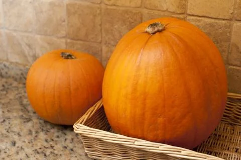 Fall or autumn pumpkins Stock Photos