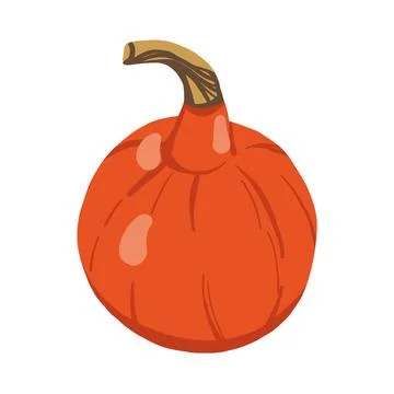 Fall orange pumpkin illustration. Flat vector vegetable for Thanksgiving ca.. Stock Illustration