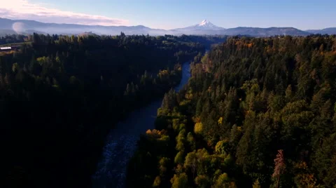 Fall in Oregon with beautiful trees and Mt. Hood in the background. Stock Footage 69073324