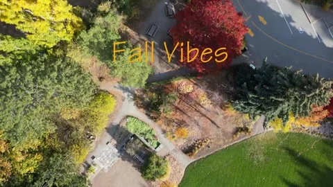 Fall over Ornamental Gardens and Valley Stock Footage 220732728