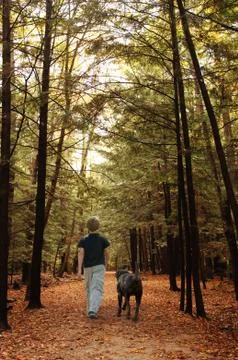 Fall paradise Fotos Stock