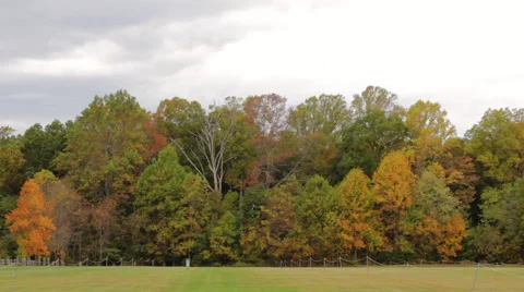 Fall Park Background Stock Footage 66270623