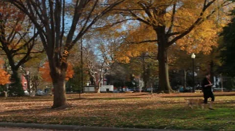 Fall Park Beautiful - with runner in distance Stock-Footage 12673578