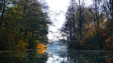  Fall in the park with a lake Stock-Footage 56619769