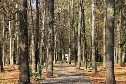 Fall in park Stock Photos