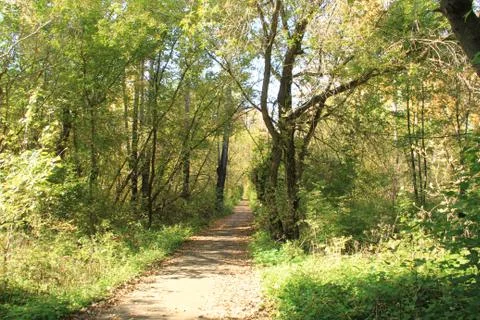 Fall in park Stock Photos