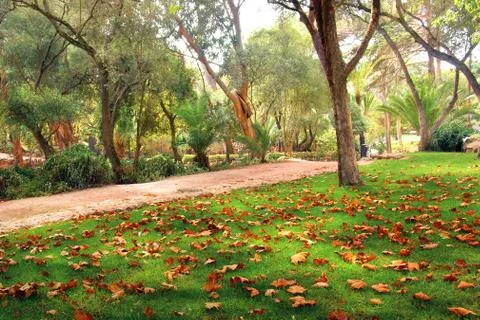 Fall park Stock Photos