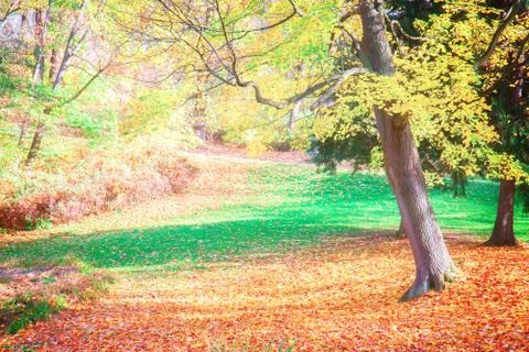 Fall park Stock Photos