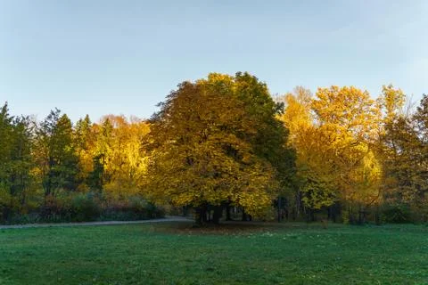 Fall in the Park Stock Photos