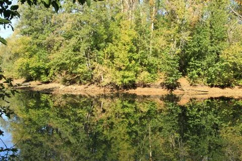 Fall in park at a pond. Stock Photos