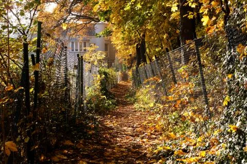 Fall Path in Berlin Stock Photos