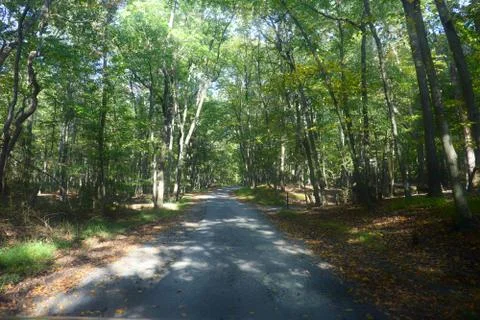 Fall Pathway Foto stock