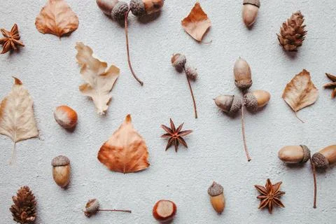 Fall pattern of dry leaves, pine cones and acorns Foto stock