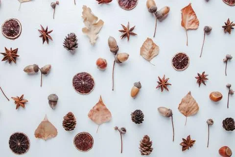 Fall pattern of dry leaves, pine cones and acorns Stock Photos