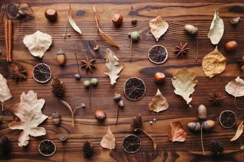 Fall pattern of dry leaves, pine cones and acorns Foto stock