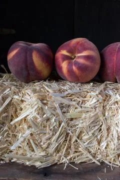 Fall peaches on hay bale rustic setting Stock Photos