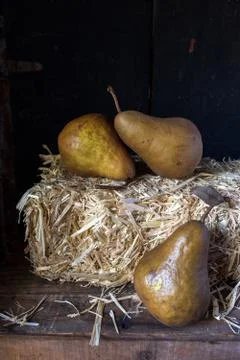 Fall pears on hay bale rustic setting Stock Photos