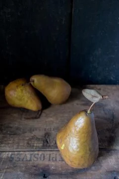 Fall pears in rustic setting Stock Photos