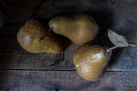 Fall pears in rustic setting 写真素材