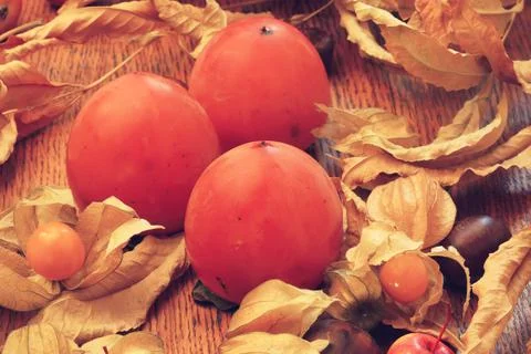 Fall persimmon Stock Photos