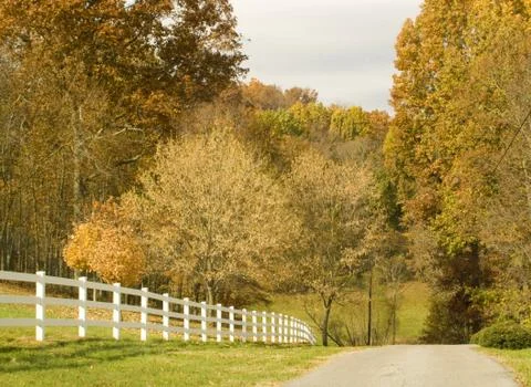 Fall Stock Photos