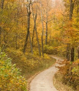 Fall Stock Photos