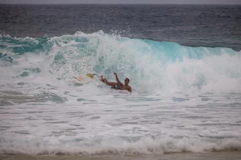 The fall Stock Photos